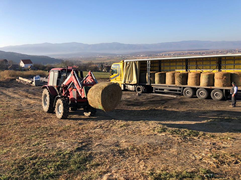 Fermierul din Bungard căruia i-a ars un saivan a primit în dar furaje din Călărași