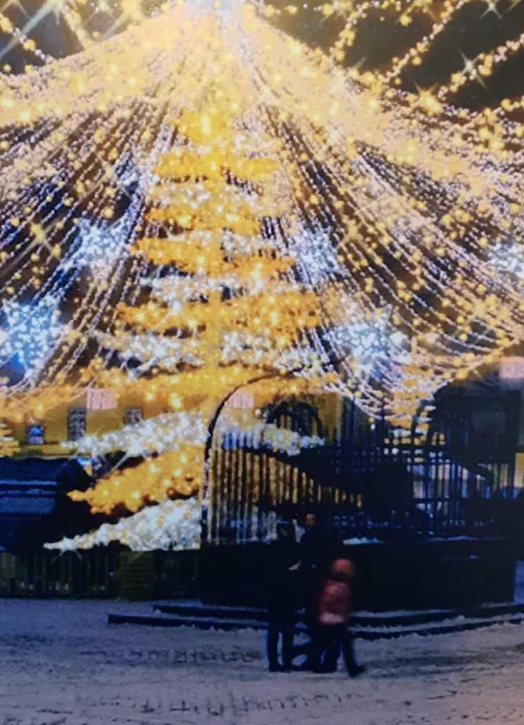 Brad mai “verde”, din metal și instalații luminoase în Piața Mare din Sibiu