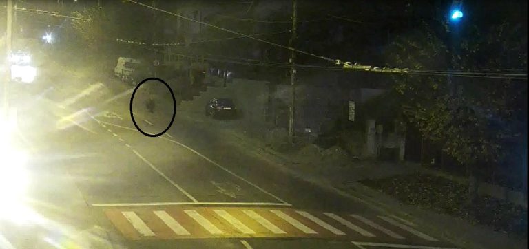 FOTO – Un urs s-a plimbat jumătate de oră prin Mediaș