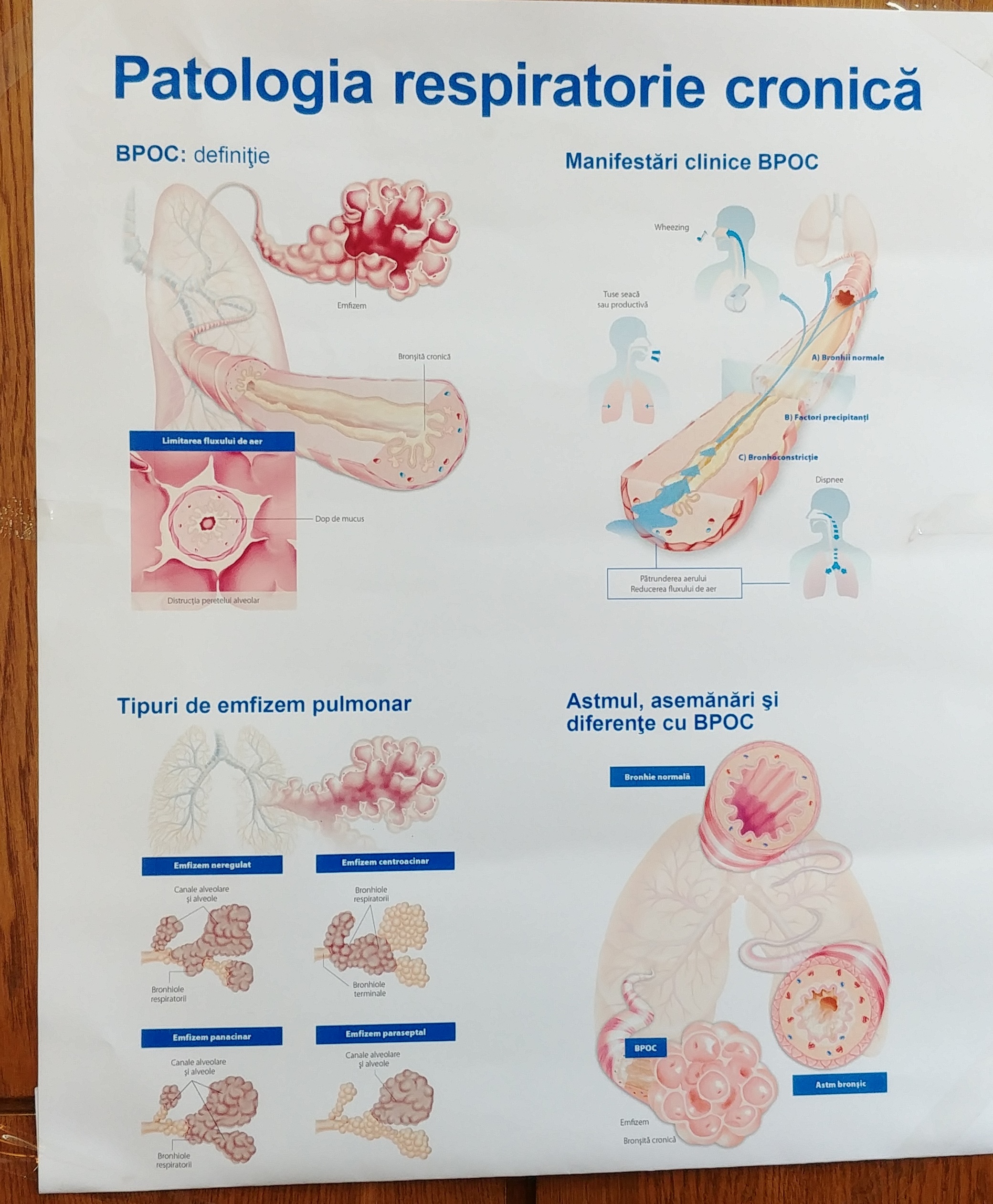 3 zile dedicate sănătății pulmonare a sibienilor