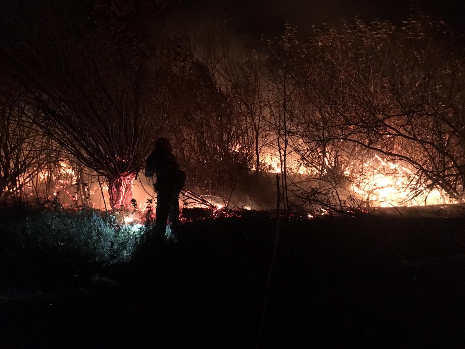 VIDEO: Incendiu de vegetație uscată lângă DN7, în apropiere de Veștem