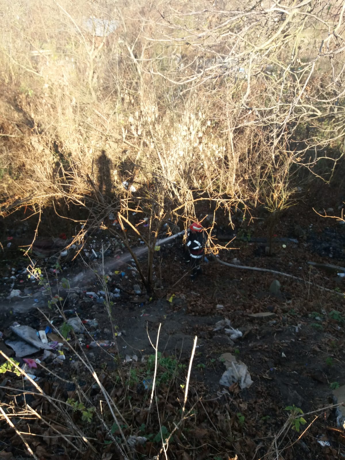 Incendiu de vegetație la Mârșa, pompierii au intervenit de urgență