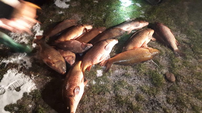 Doi braconieri, prinşi la pescuit pe râul Olt. Poliţiştii au confiscat peste 150 de kilograme de peşte