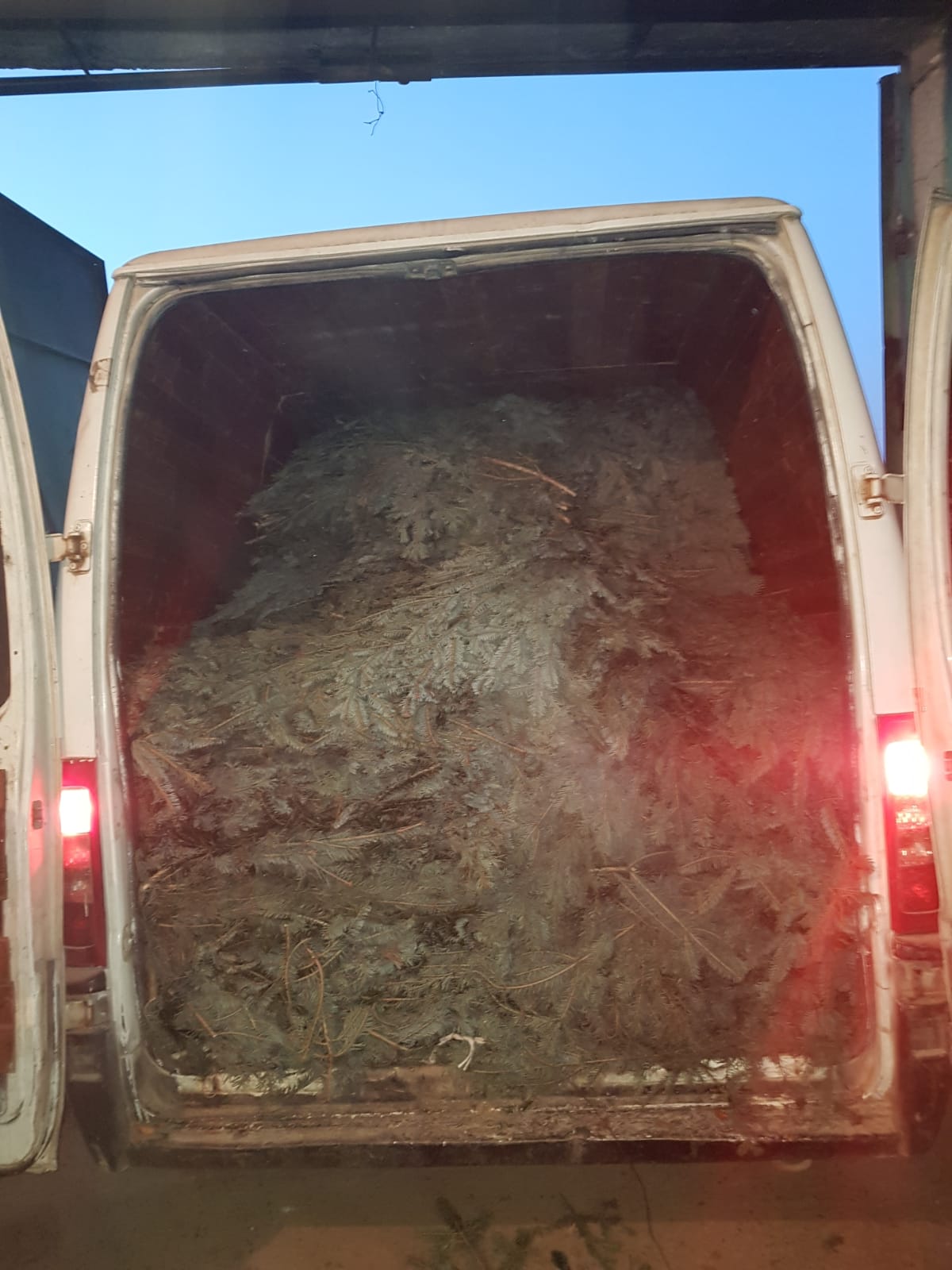 Bărbat fără permis prins la volanul unui microbuz încărcat cu cetină furată