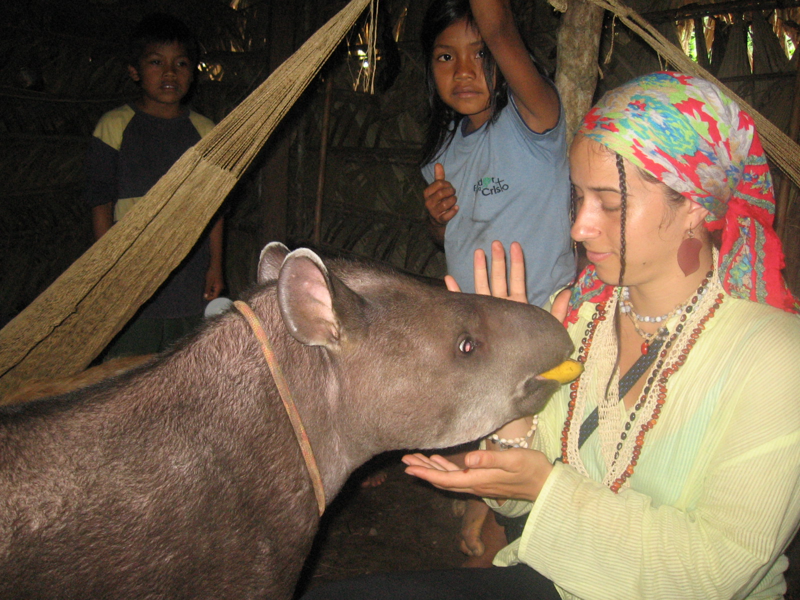 Luminița Cuna, românca amazoană