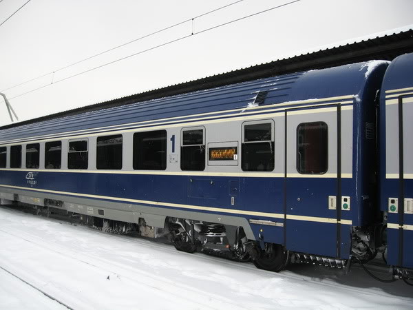 Trenuri anulate sau întârziate, din cauza copacilor căzuți pe căile ferate