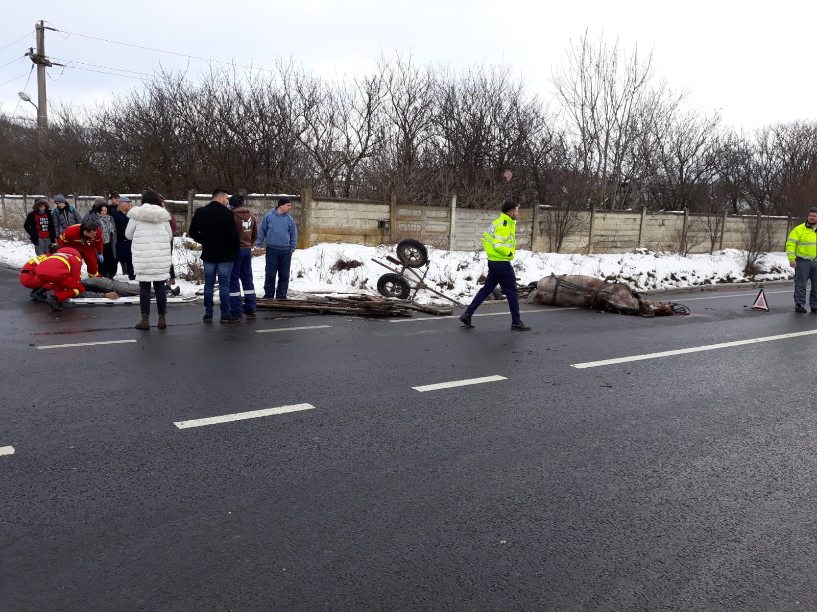 Căruțaș lovit de o mașină pe DN14. Calul a murit