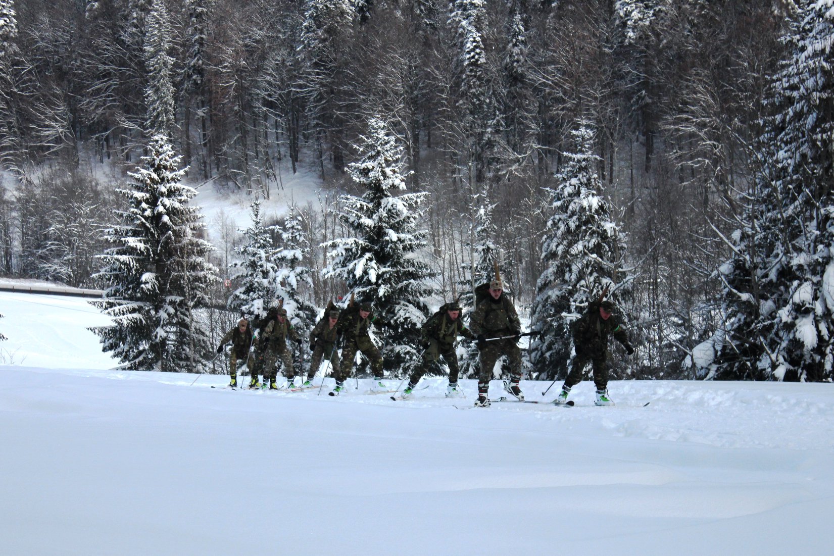 Studenții Academiei Forțelor Terestre, fruntași la Campionatul Militar de Schi
