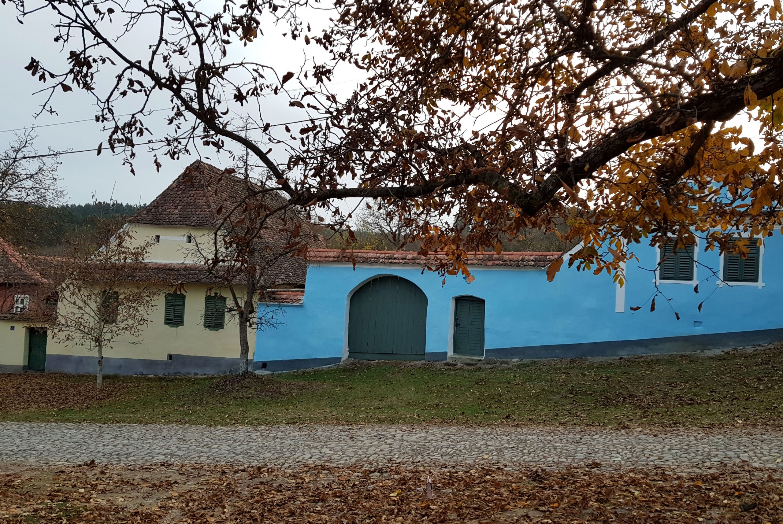 Călător prin România cu Alexandra Cristian. Viscri, satul unde timpul s-a oprit în loc.