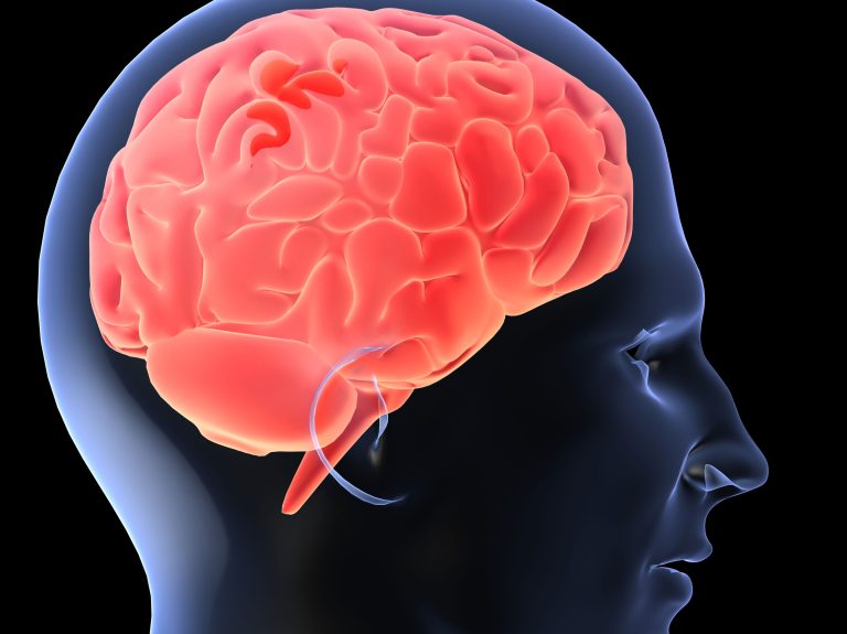 Mâncarea care îți dă de gândit: cu ce îmi hrănesc creierul?