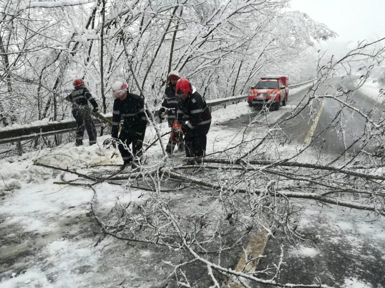 FOTO – Un copac a căzut pe un Drum Național din județul Sibiu