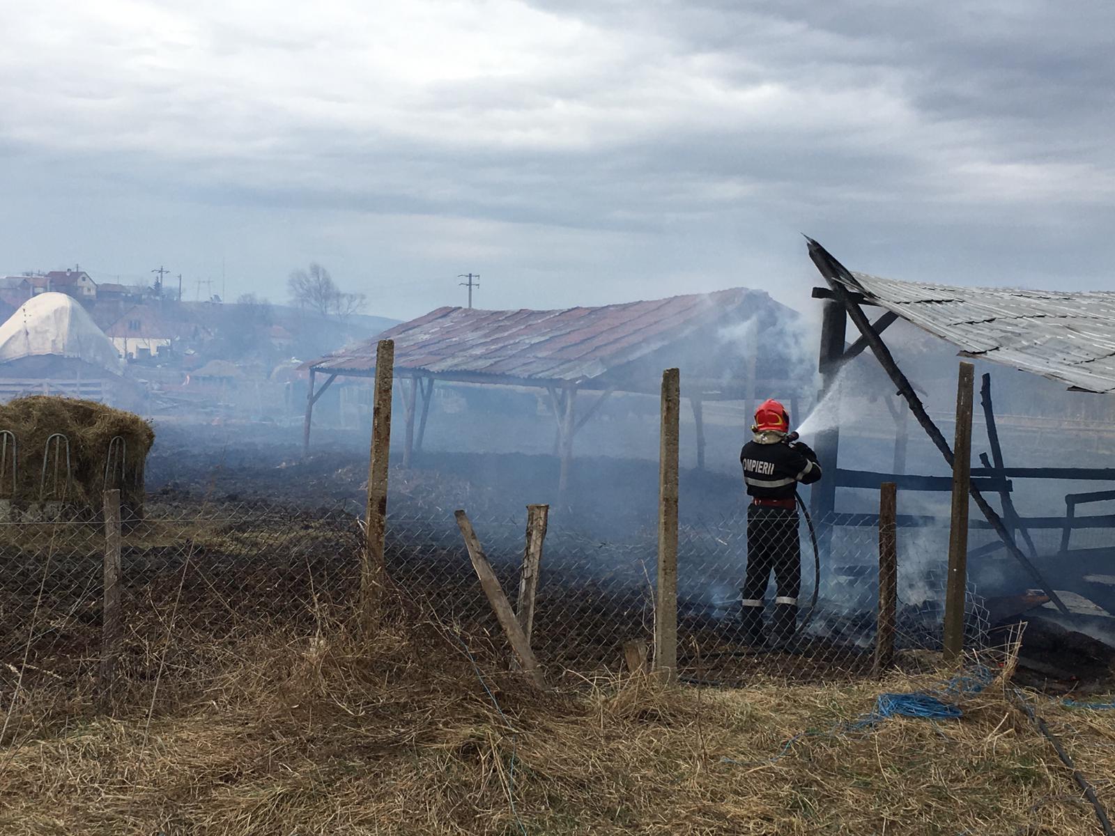 FOTO: Saivan cuprins de foc la Cașolț, pompierii au intervenit de urgență