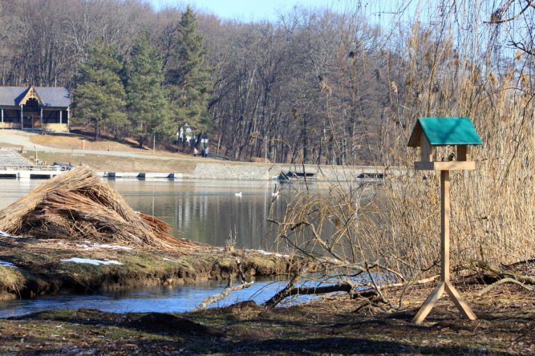 Concurs de Dragobete în Muzeul Astra