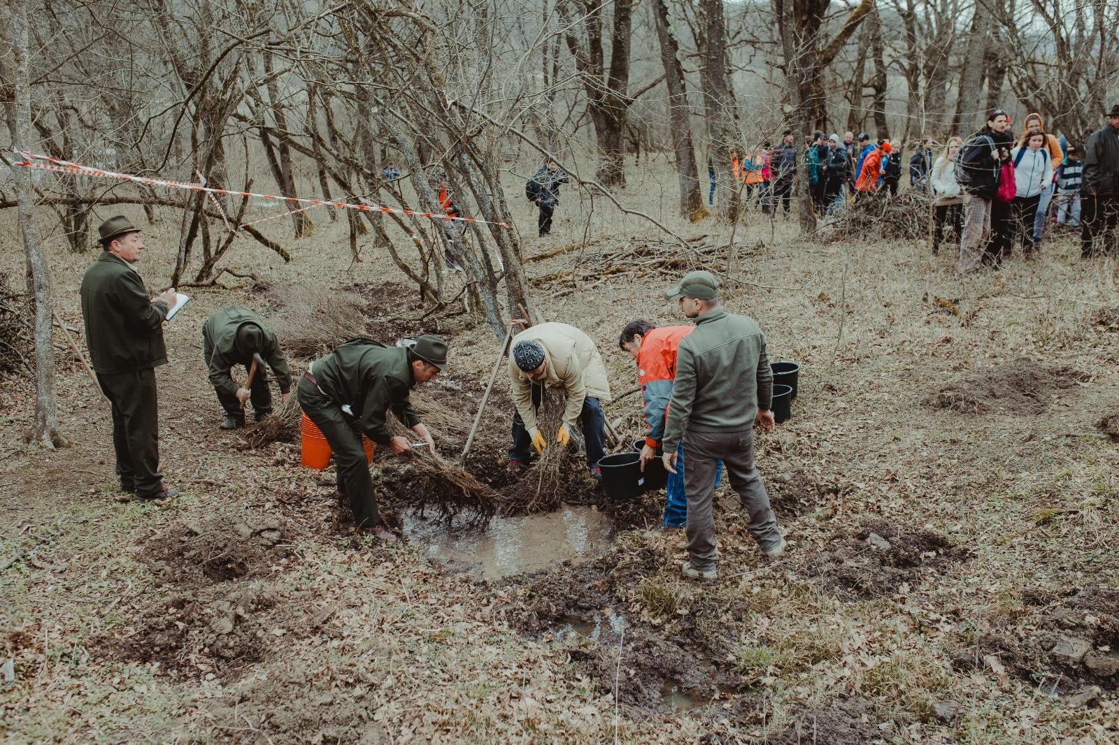 Campanie de împădurire, în zona Gușterița