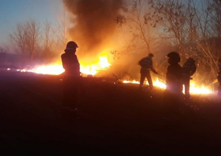 Opt hectare de vegetație distruse de incendii