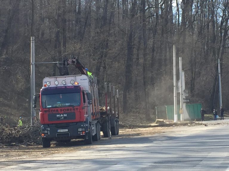 Au început lucrările la un sens giratoriu, în Mediaș