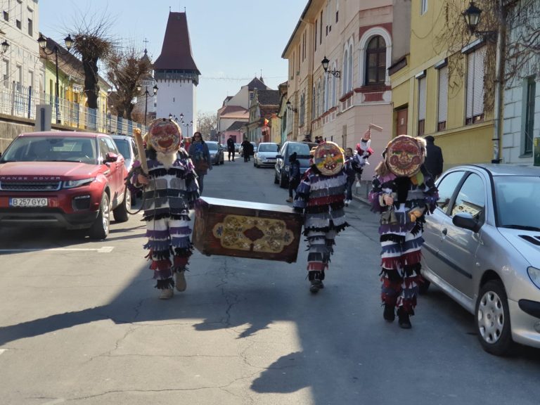 Lolele au ajuns, sâmbătă, la Mediaș