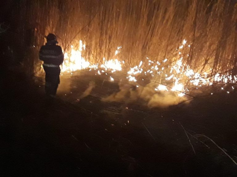 Controale pentru prevenirea incendiilor de vegetație