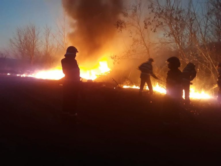 8 hectare de vegetație au ars în județul Sibiu