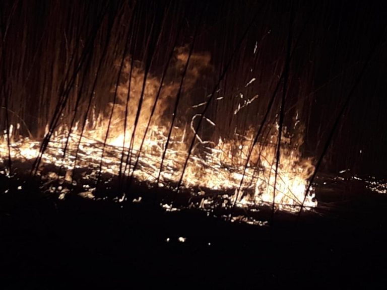 FOTO – Au reînceput incendiile de vegetație în județul Sibiu