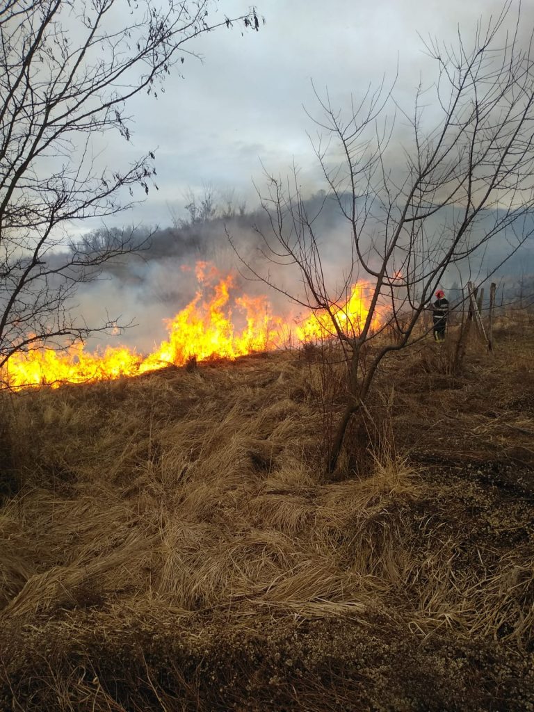 FOTO – Incendii de vegetație la Mediaș și Saroșu pe Târnave
