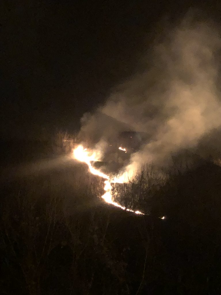 FOTO – 3 hectare de vegetație au ars, la Mediaș