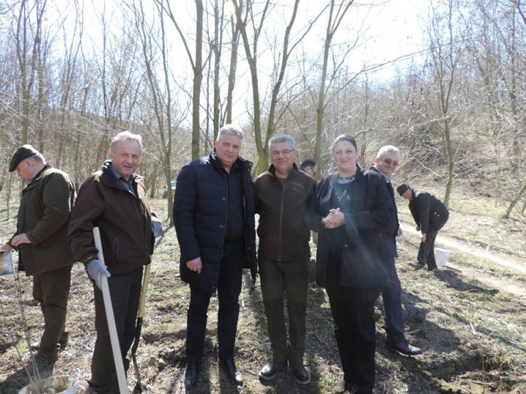 FOTO – Ministrul Pădurilor, Ioan Deneș, a plantat puieți la Copșa Mică