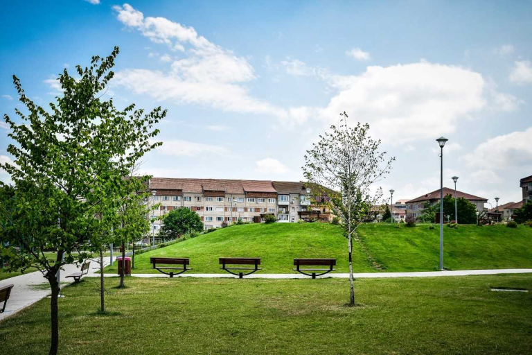 FOTO Peste 250 de arbori și arbuști plantați în Sibiu