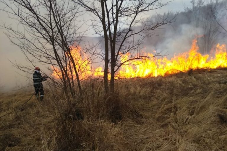 Zeci de hectare de vegetație au ars miercuri seara în județul Sibiu