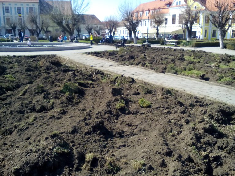 Se amenajează parcul din centrul istoric al Mediașului