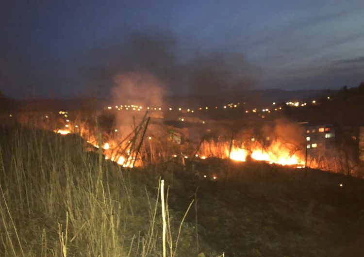 Incendiile de vegetație uscată au revenit în forță