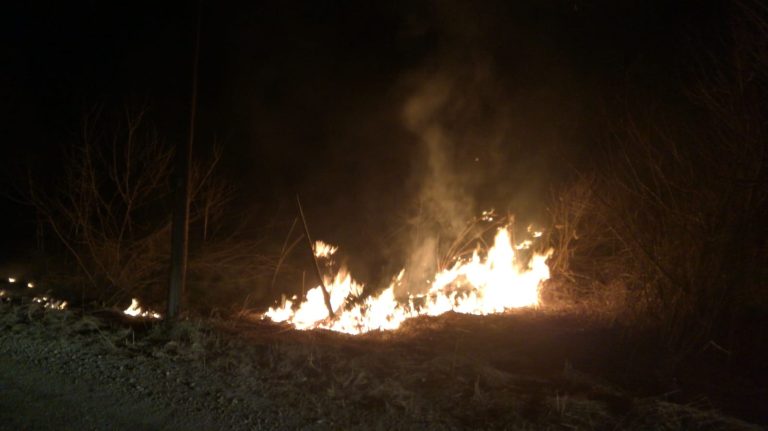 Două incendii de vegetație s-au produs în Sibiu și Mediaș