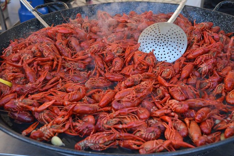 FOTO – Caravana Racilor a ajuns în weekend la Mediaș