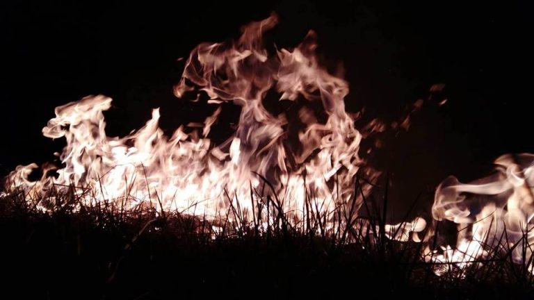 FOTO – 10 hectare de vegetație au ars la Copșa Mică