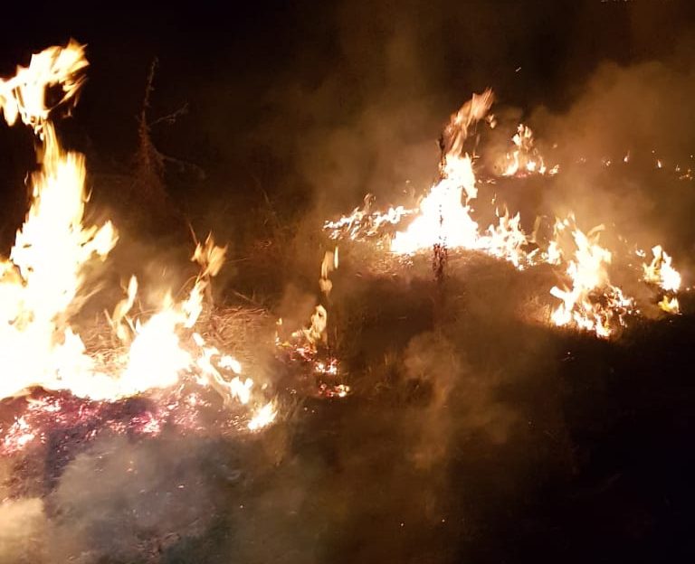 FOTO Un incendiu de vegetație uscată a ajuns și la traversele de cale ferată