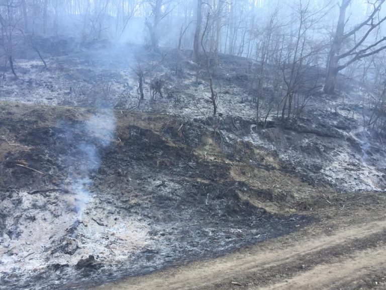FOTO – Un incendiu a distrus 4 hectare de vegetație și material lemnos