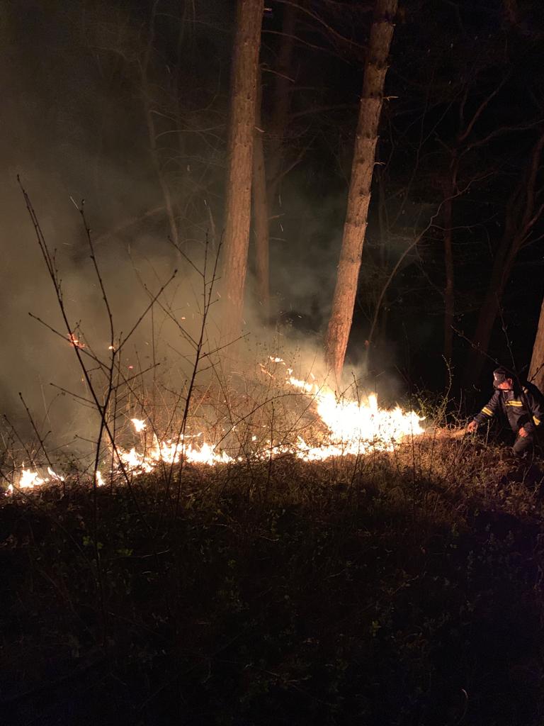 FOTO – O altă pădure din județul Sibiu, afectată de incendiu