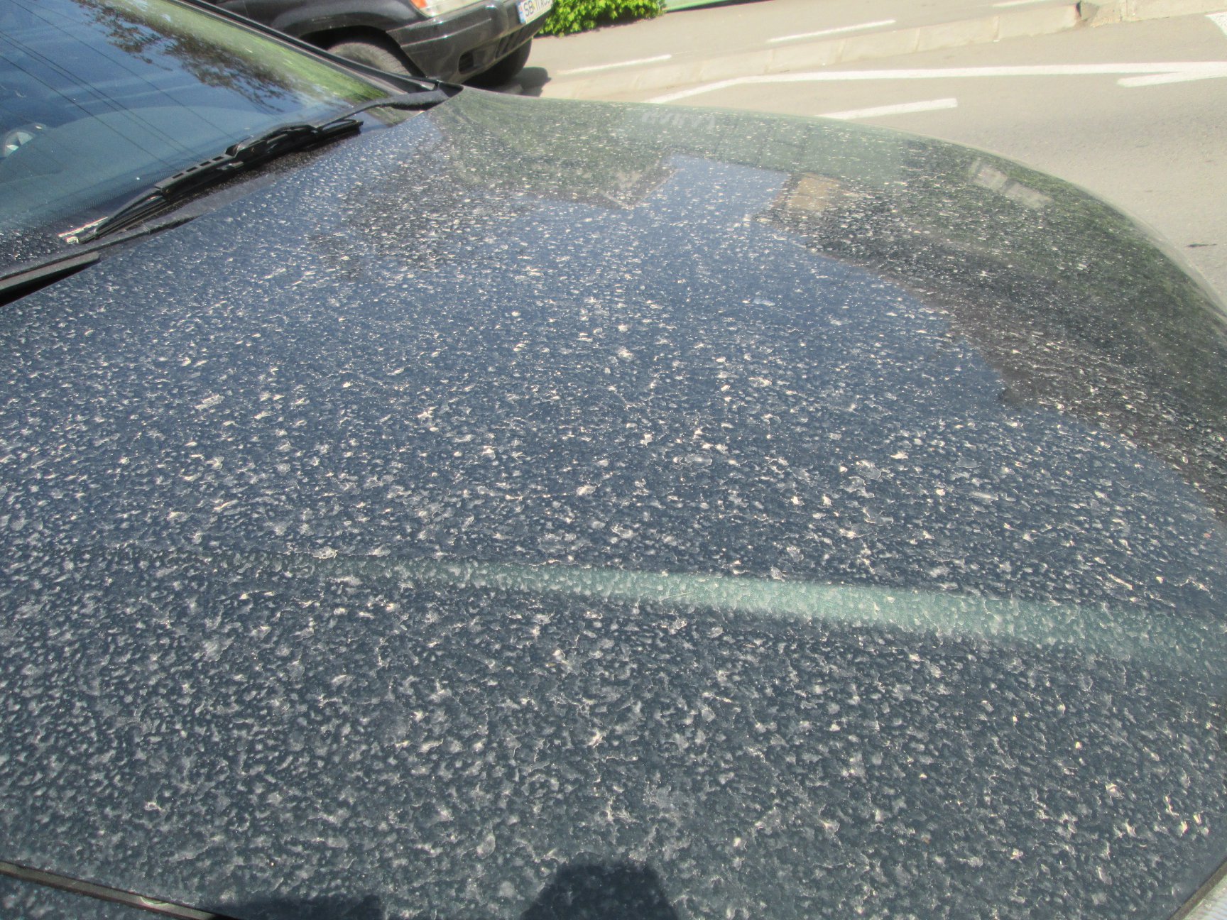 Norul de praf saharian, amestecat cu ploaia şi vântul, a lăsat urme la Sibiu