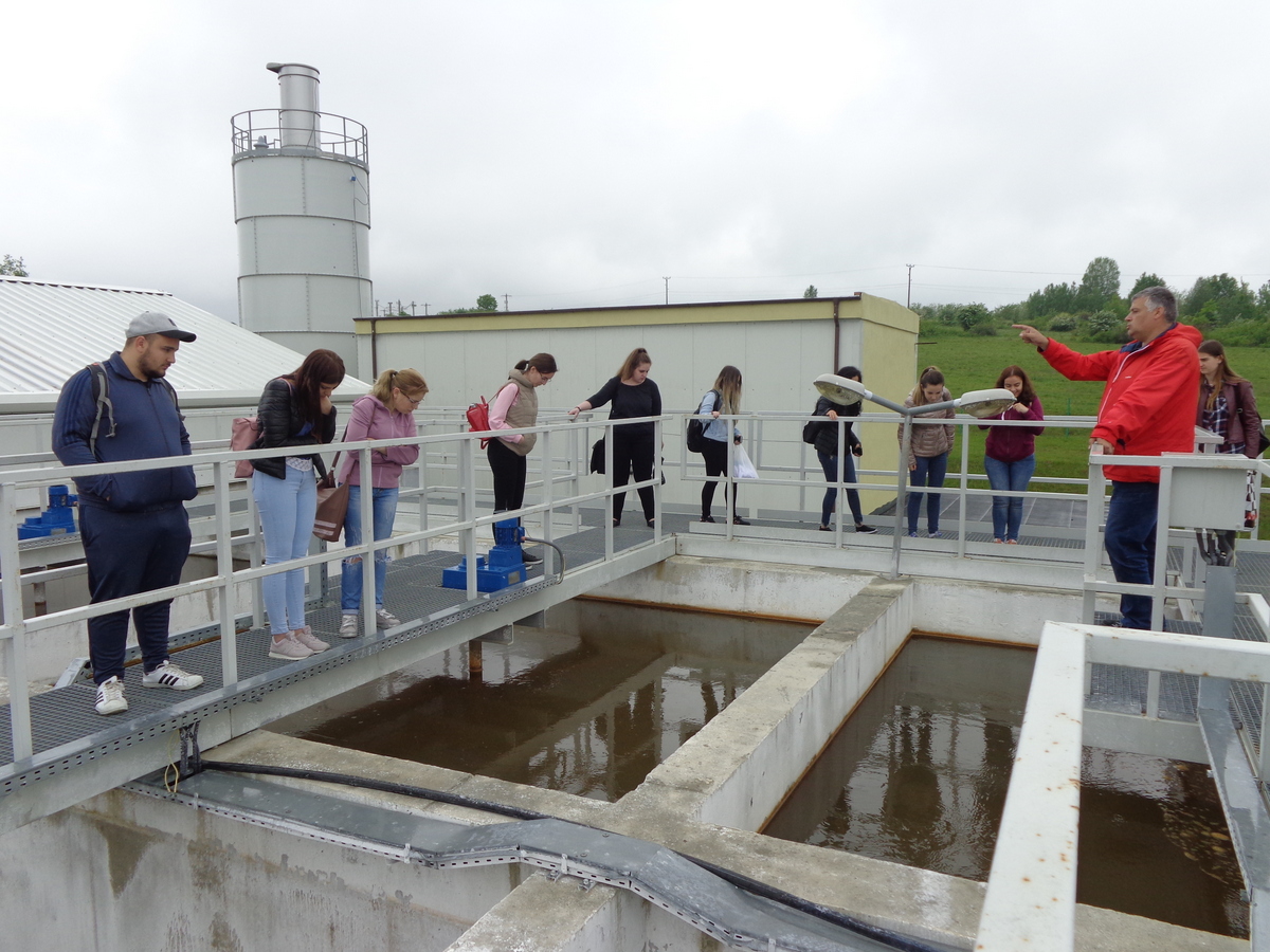 Săptămâna Verde a Comisiei Europene, sub lupa studenților sibieni