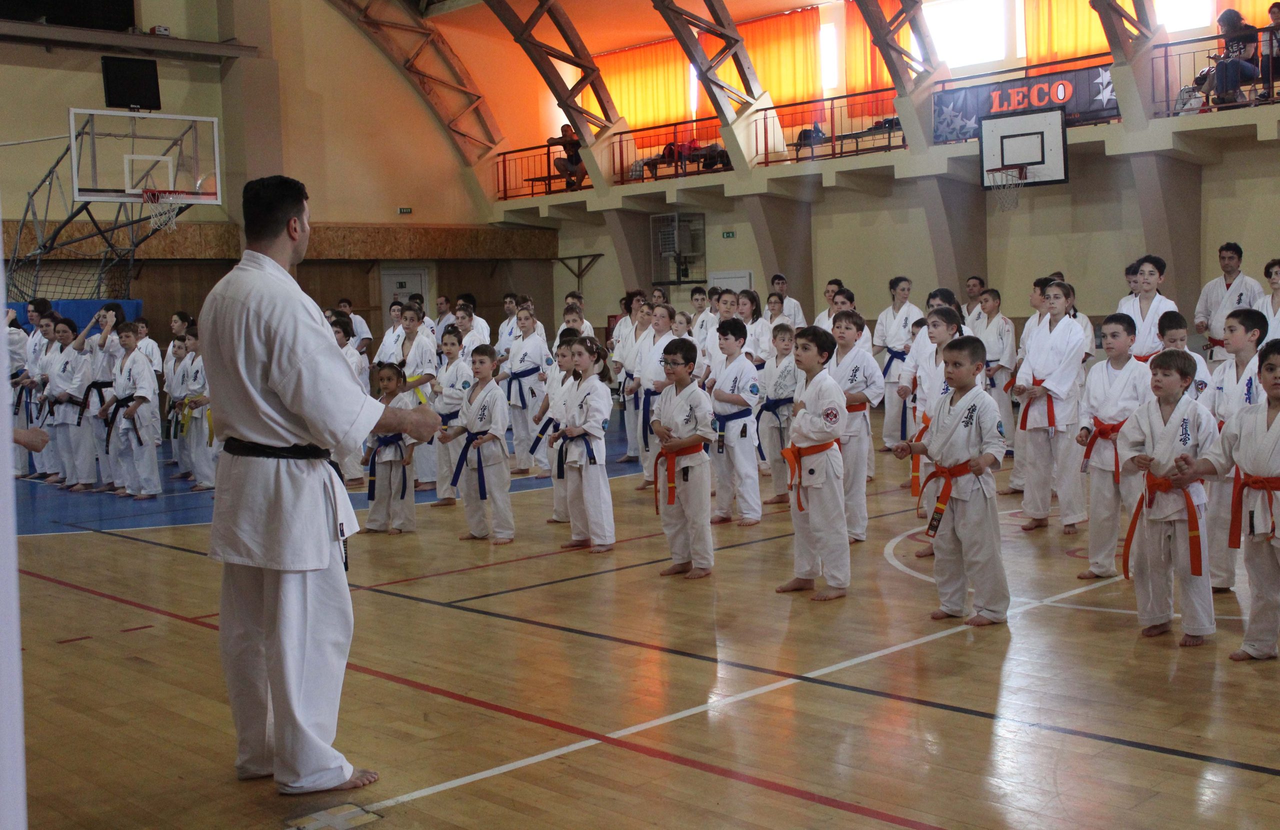 Peste 200 de participanți la Seminarul Internațional de Kumite Kyokushin organizat la Sibiu