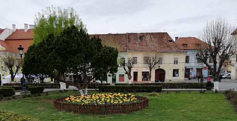 FOTO – Centrul istoric și cartierele Mediașului își “schimbă fața”