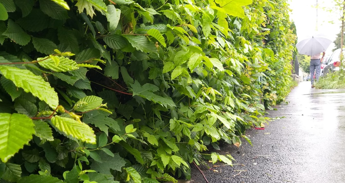 De la avertizare până la cod portocaliu de ploi abundente în următoarele zile