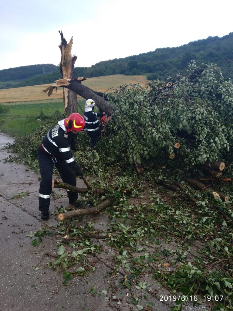 FOTO – Un copac doborît de vânt a blocat Drumul Național 14 B