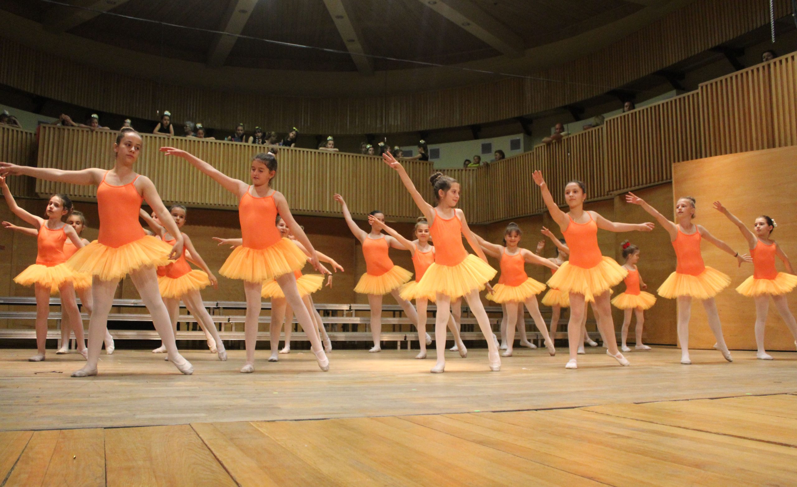 Peste 500 de participanți la  concursul ”Dance Art Fusion – The Dance Contest In Sibiu”