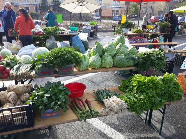 Dansul sportiv închide piața volantă Transilvania