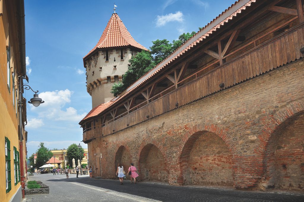 Reparații la Zidul Cetății, stâlpii porții Gheorghe Lazăr, Bastionul Haller și Turnurile Archebuzierilor, Olarilor și Dulgherilor