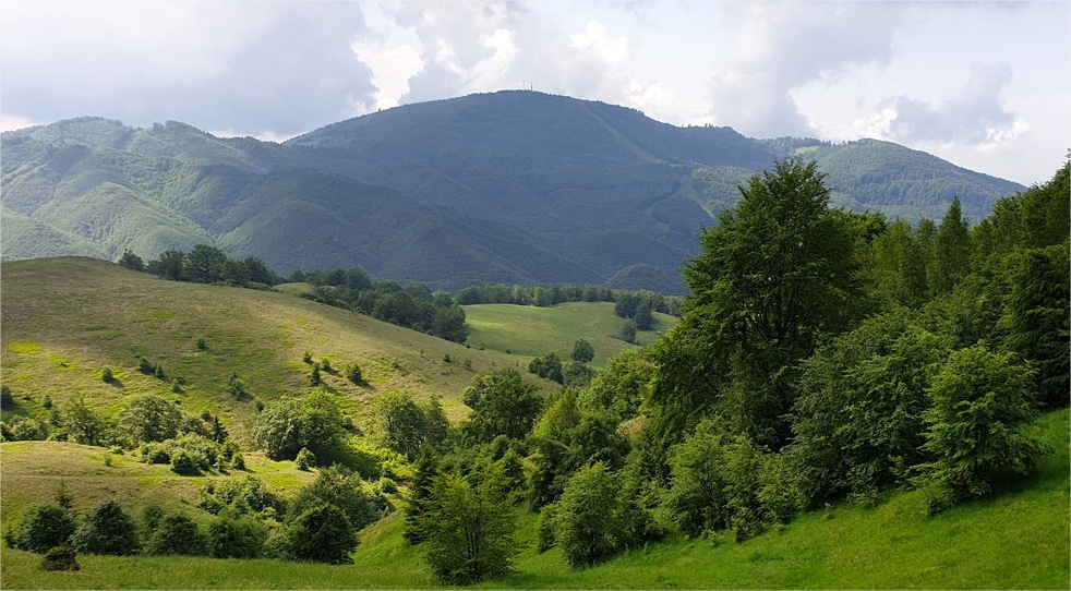 Călător prin România cu Alexandra Cristian. Drumeție pe Creasta Cocoșului, Maramureș