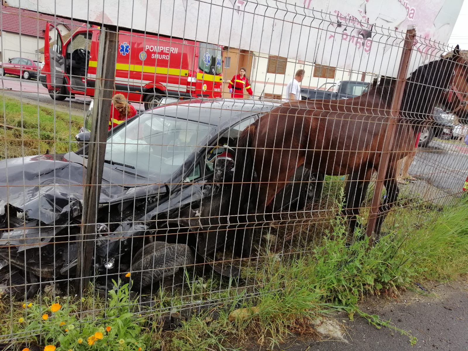 Accident în Cristian. O femeie a ajuns cu mașina într-o curte lovind un cal