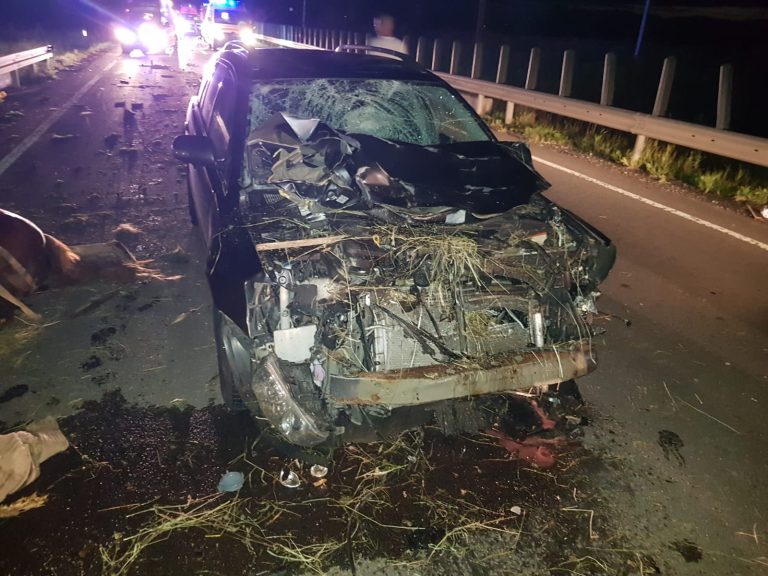 FOTO/VIDEO – Impact devastator între un autoturism și o căruță nesemnalizată. Un copil a murit, șase persoane sunt rănite