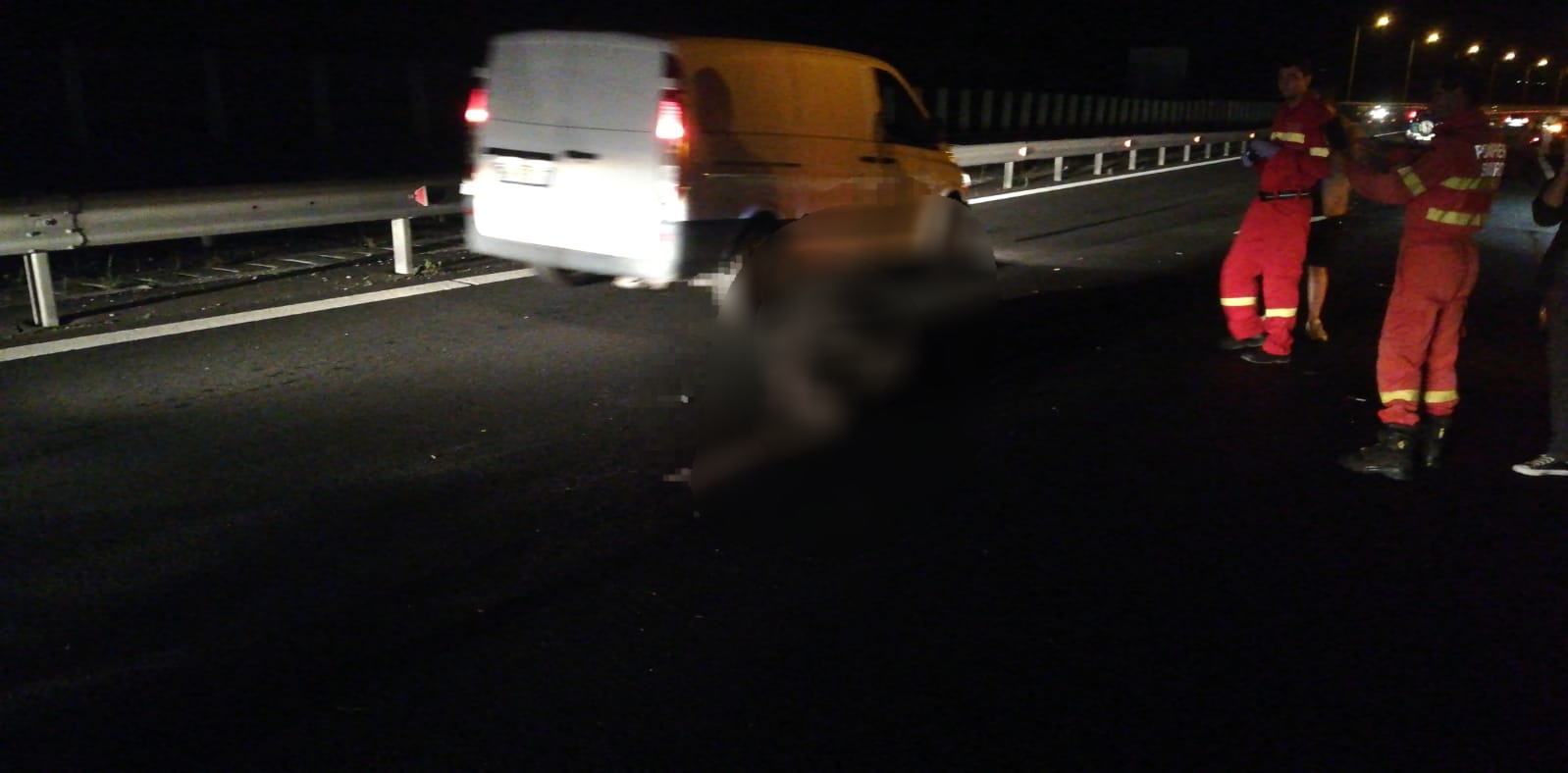 Urs mort, după ce a fost lovit de patru mașini, pe A1. Doi copii primesc îngrijiri medicale